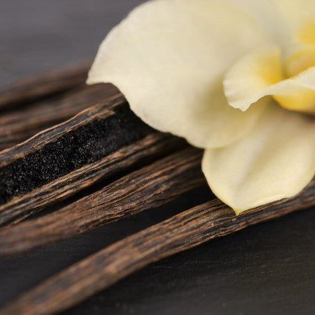 YODEYMA Amira Eau de Parfum Kvepalai