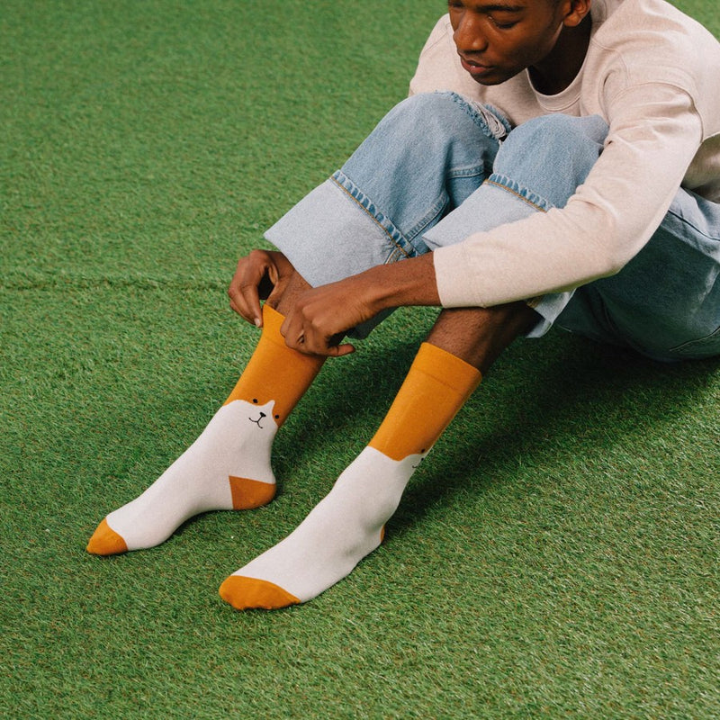 Kojinės mielas šuniukas, žaismingos spalvotos kojinės, Originali dovana vyrams, moterims, vaikams ir paaugliams, universalus dydis, šuniuko formos kojinės - EAT MY SOCKS Cute Puppy