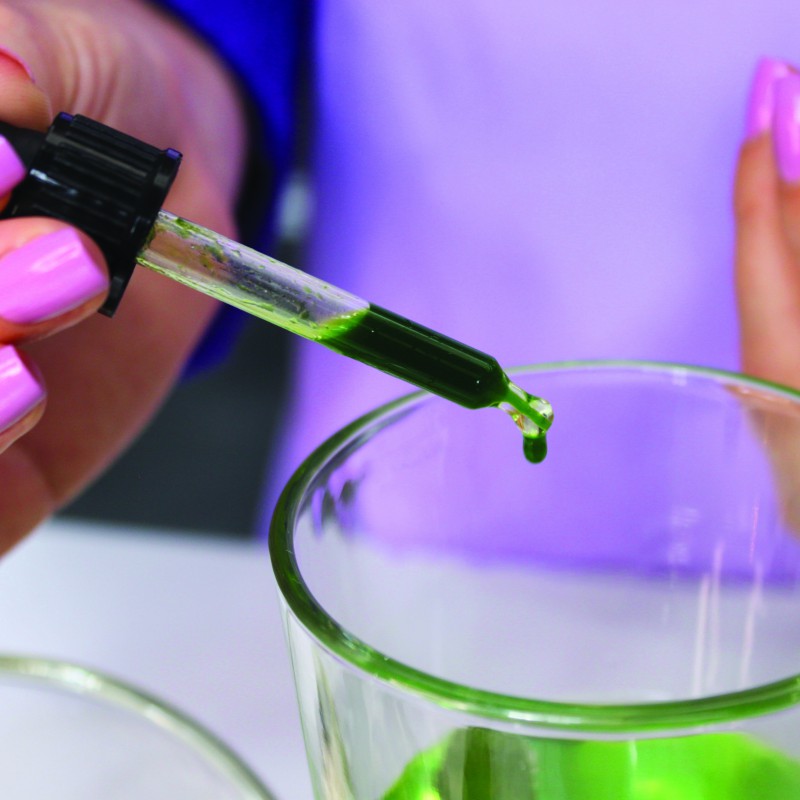 Birdie Nutrition eliksyras „Detox Drops“ – detoksikacijos lašai virškinimui