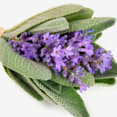 YODEYMA kvepalai Wow Scent su levandomis ir šviežiais augalais, sukurti gaiviam aromatui