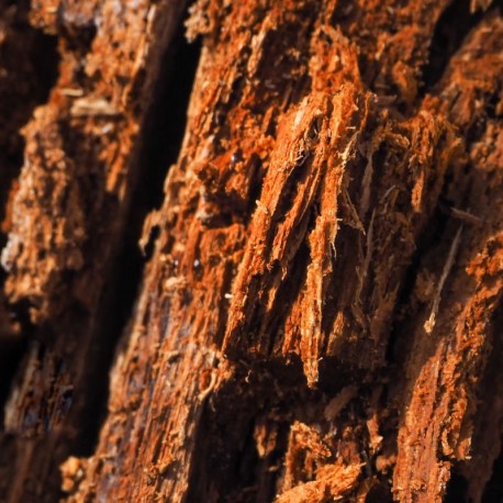 Natūralaus agarinio medžio drožlės YODEYMA Oud Gem Kvepalai aromatui