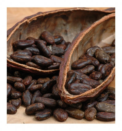 YODEYMA Success Pour Homme kvepalai vyrams su kakavos pupelėmis ir natūraliais ingredientais