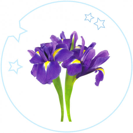 YODEYMA Vaikiški Kvepalai su violetiniais irisais, kurie suteikia gaivų kvapą vaikams